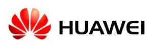huwei300